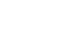 53 buses